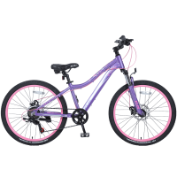 Велосипед подростковый Tech Team Elis 24 белый/ розовый 2021г. колесо 24, c дисковыми тормозами