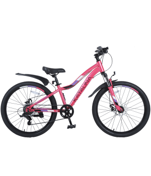 Велосипед подростковый Tech Team KATALINA 24  розовый 2022г. колесо 24, c дисковыми тормозами